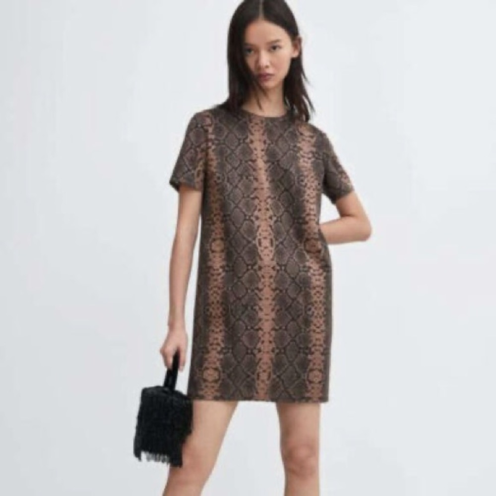 Zara Snake Print Shift Dress